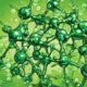 chlorophyll absorbs light energy