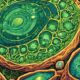 chloroplasts capture solar energy