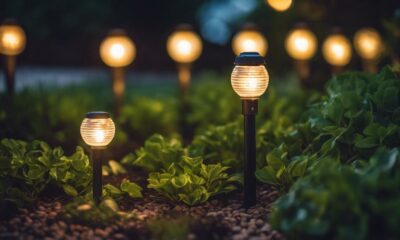 illuminate your garden beautifully