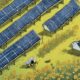 incentivizing solar farm growth