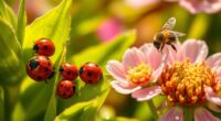 beneficial insects for gardening