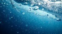 microplastics threaten health