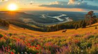 restoring ecosystems through rewilding