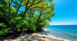 trees and oceans regulate carbon