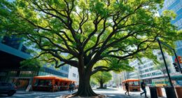choose suitable urban trees