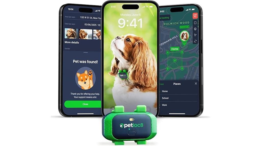 dog real time gps tracker
