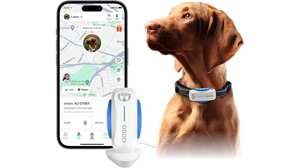 dog tracking with activity
