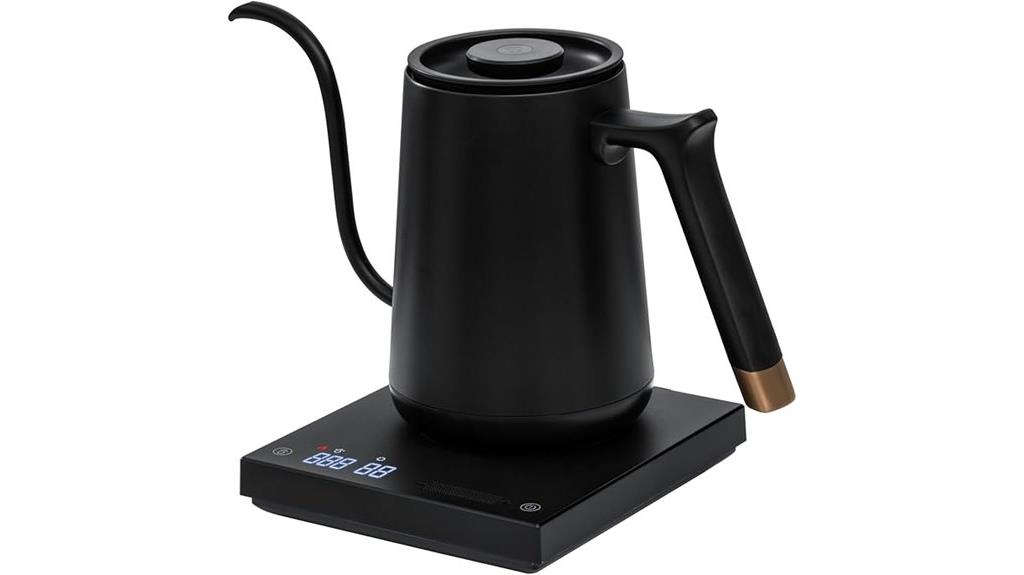 electric coffee kettle with temperature control