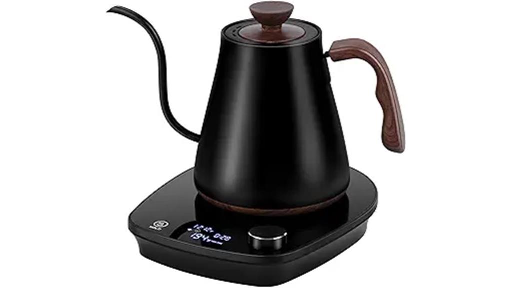 electric kettle with temperature