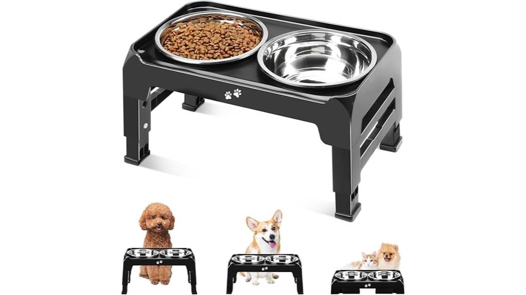 elevated bowls for small medium dogs