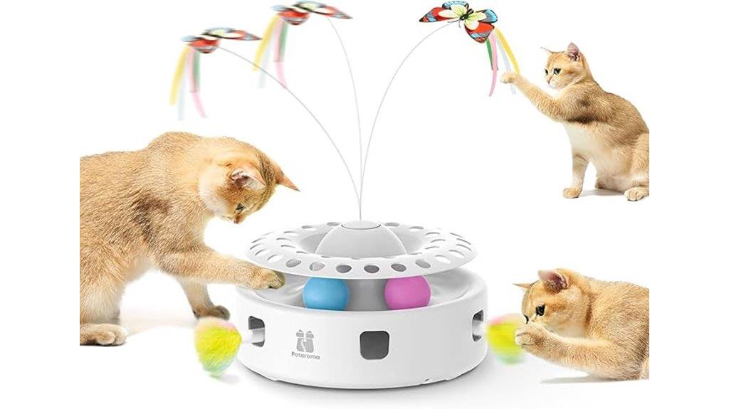 interactive cat toy