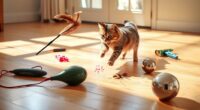 interactive cat toy recommendations