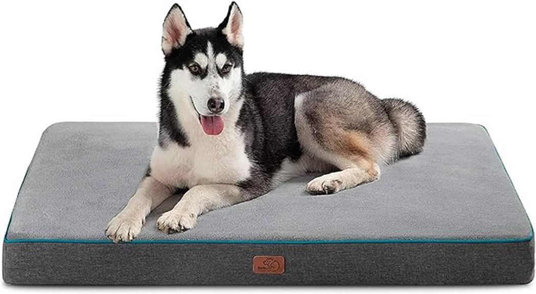 large memory foam dog bed