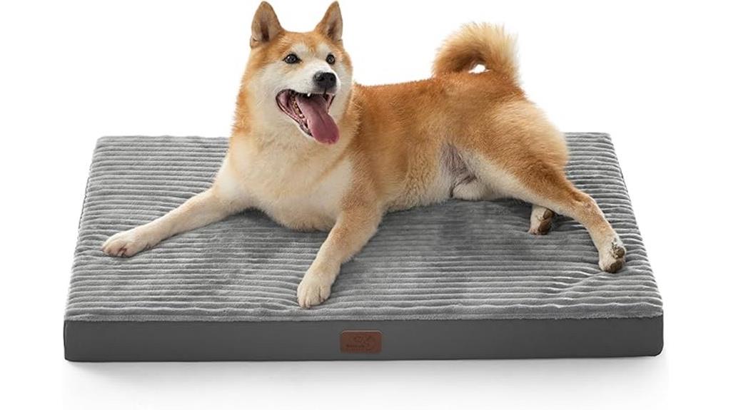 large orthopedic dog bed