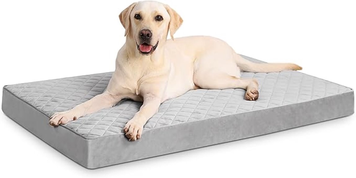 large orthopedic dog bed