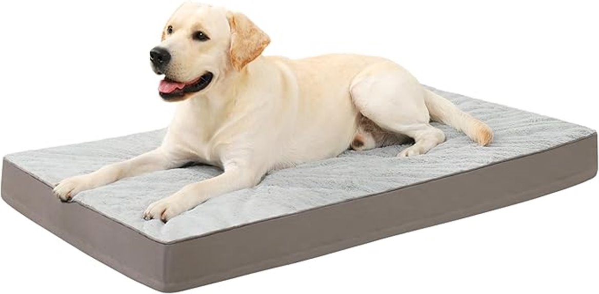 large orthopedic dog bed