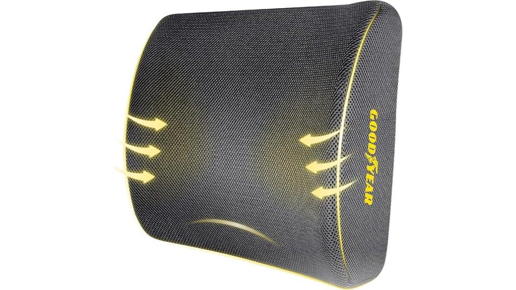 lumbar pillow for multiple uses