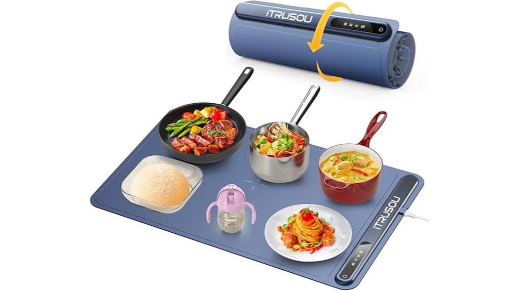 portable electric food warmer