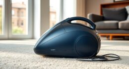 quiet apartment vacuum options