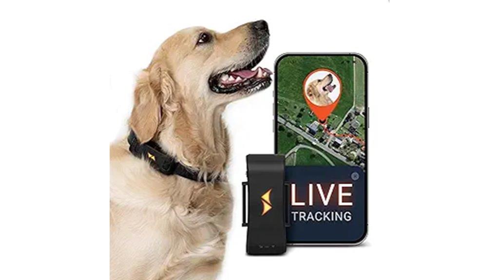 real time 4g dog tracking