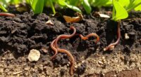 soil quality assessment methods