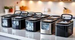 top portable ice makers
