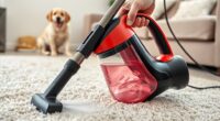top pet carpet cleaning tools