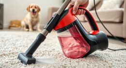 top pet carpet cleaning tools