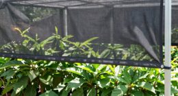 blocking heat without shading