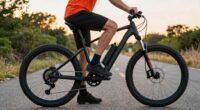 heavy duty electric bikes