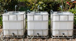rainwater ibc tote setup