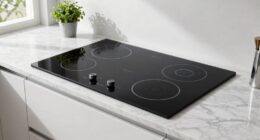 top 10 compact induction ranges