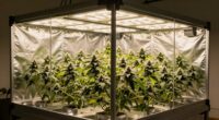 top 10 heavy duty grow tents