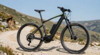 top 12 long range ebikes