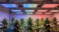 top 4x8 led grow lights