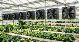 top greenhouse fan kits
