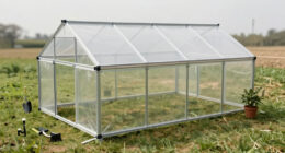 10 Best Heavy Duty Greenhouses for Windy Areas in 2026