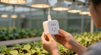10 Best Smart Plug Timer for Propagation Lights in 2026