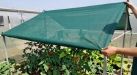 11 Best Greenhouse Shade Cloth System For Hot Climates In 2026