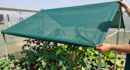 11 Best Greenhouse Shade Cloth System For Hot Climates In 2026