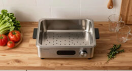 11 Best Steam Oven for Healthy Home Cooking in 2026