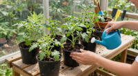 12 Best Greenhouse Benching System for Backyard Growers in 2026