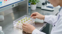 12 Best Seed Germination Chamber for Propagation in 2026