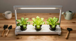 14 Best Vertical Farming Rack With Grow Lights in 2026 — The Complete Guide