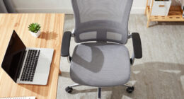 6 Best Ergonomic Office Chairs for Home Offices in 2026