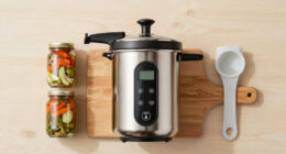 7 Best Electric Pressure Canner for Home Food Preservation in 2026