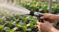 7 Best Greenhouse Misters for Propagation Areas in 2026