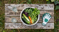 9 Best Outdoor Prep Table For Harvest Washing In 2026