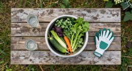 9 Best Outdoor Prep Table For Harvest Washing In 2026
