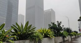 air pollution impacts plants